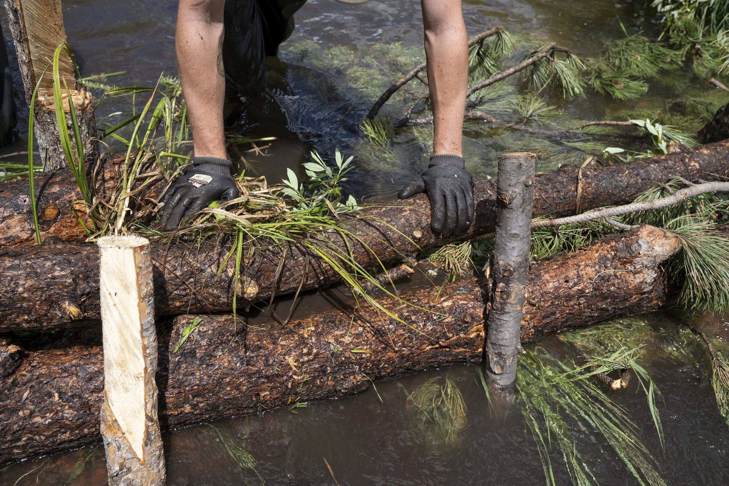 From Emergency Response to Long-Term Resilience: Managing Watersheds That Are Ready for Fire