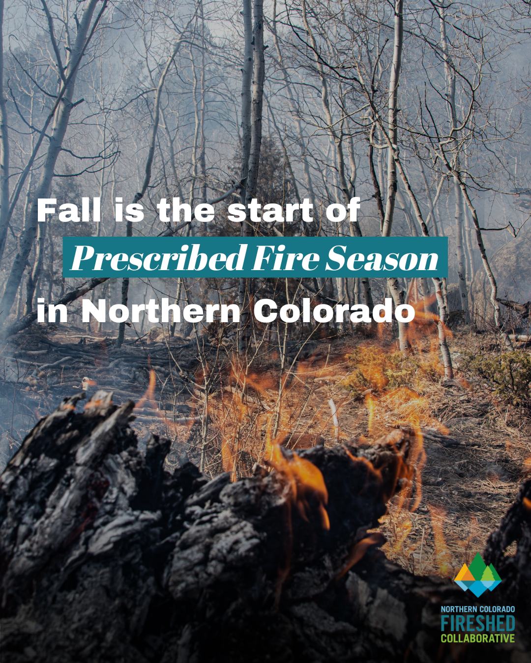 Roosevelt National Forest plans prescribed burns - Potential weather opportunity arrives in coming weeks