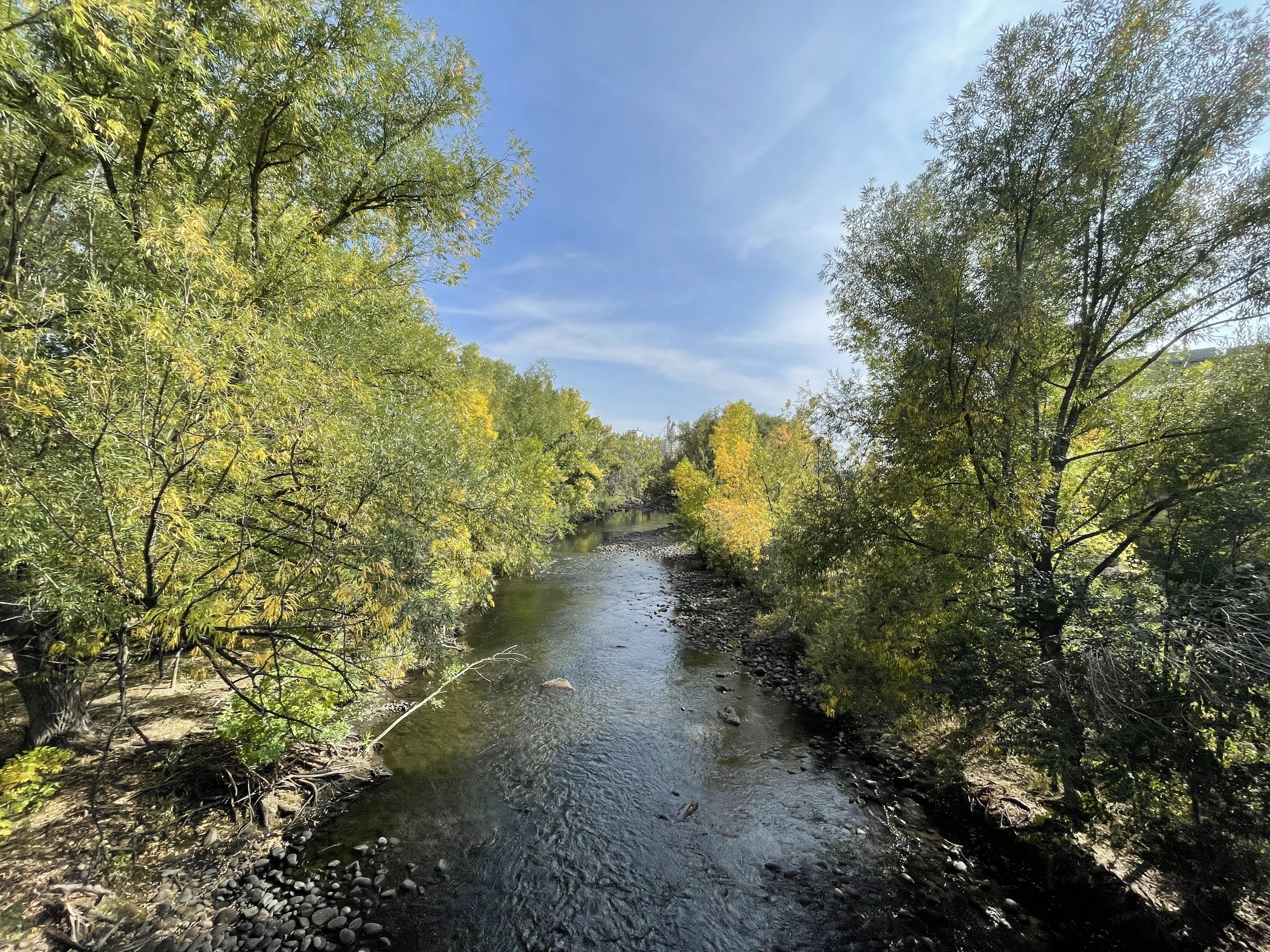 Two Votes for a Healthy Poudre: CPRW Endorses Prop 137 and Larimer County 1A