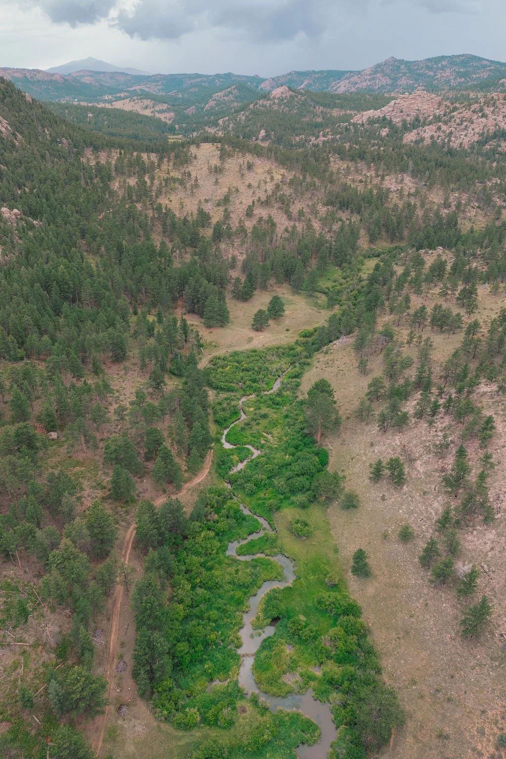 Restoration for Resilience: Stream Restoration in Pre-Fire Watersheds