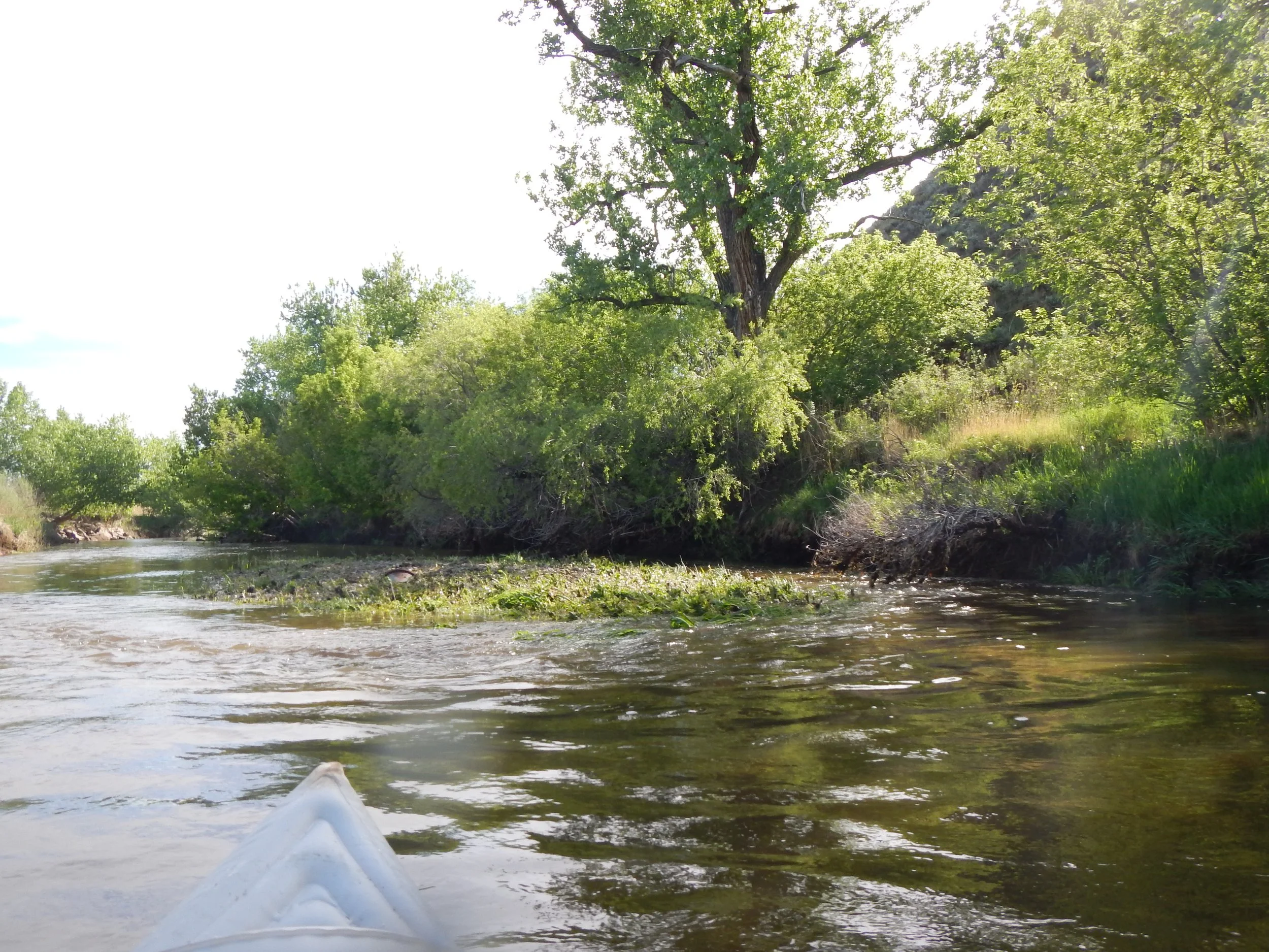 Poudre River Restoration and Rehabilitation Project
