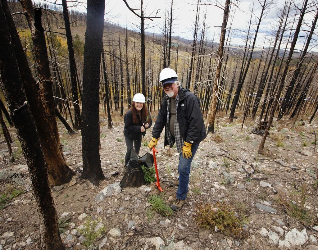Cache Tree Planting Coalition for the Poudre River Watershed-CPRW & Partners Wrap Up 2022 ...