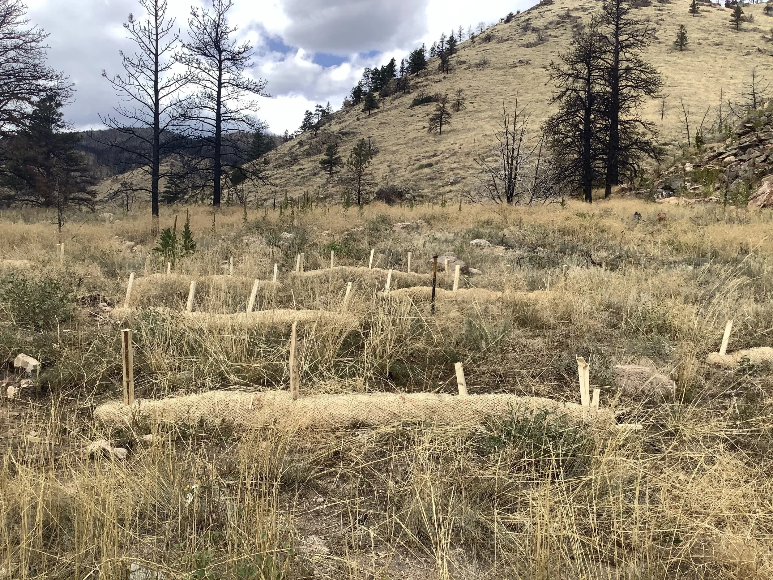 Coalition for the Poudre River WatershedWork continues to address post