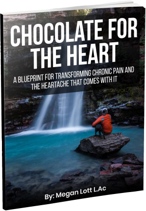 Chocolate for the heart by Megan Lott