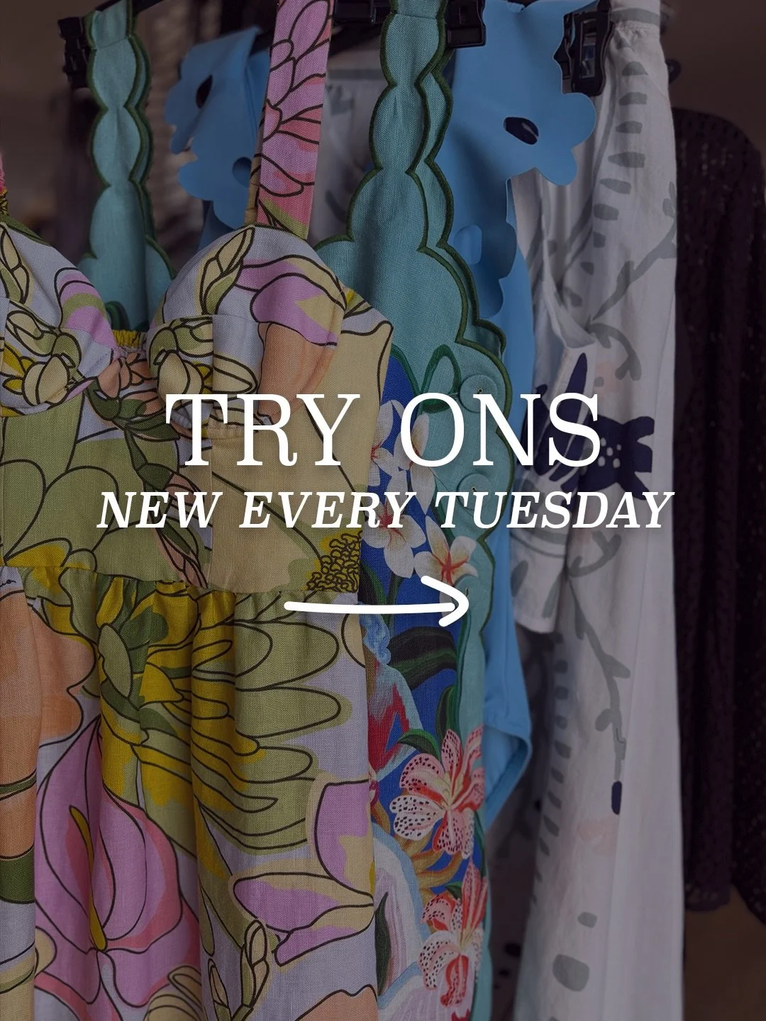 This week&rsquo;s favorites 🩵
Open Daily &bull; 10 - 4