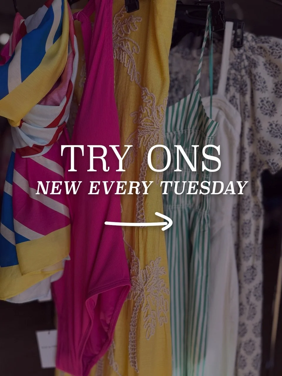 Swooning over new cuties! 😍

Open Daily &bull; 10 - 5