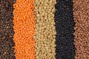 lentils-300x200.jpg
