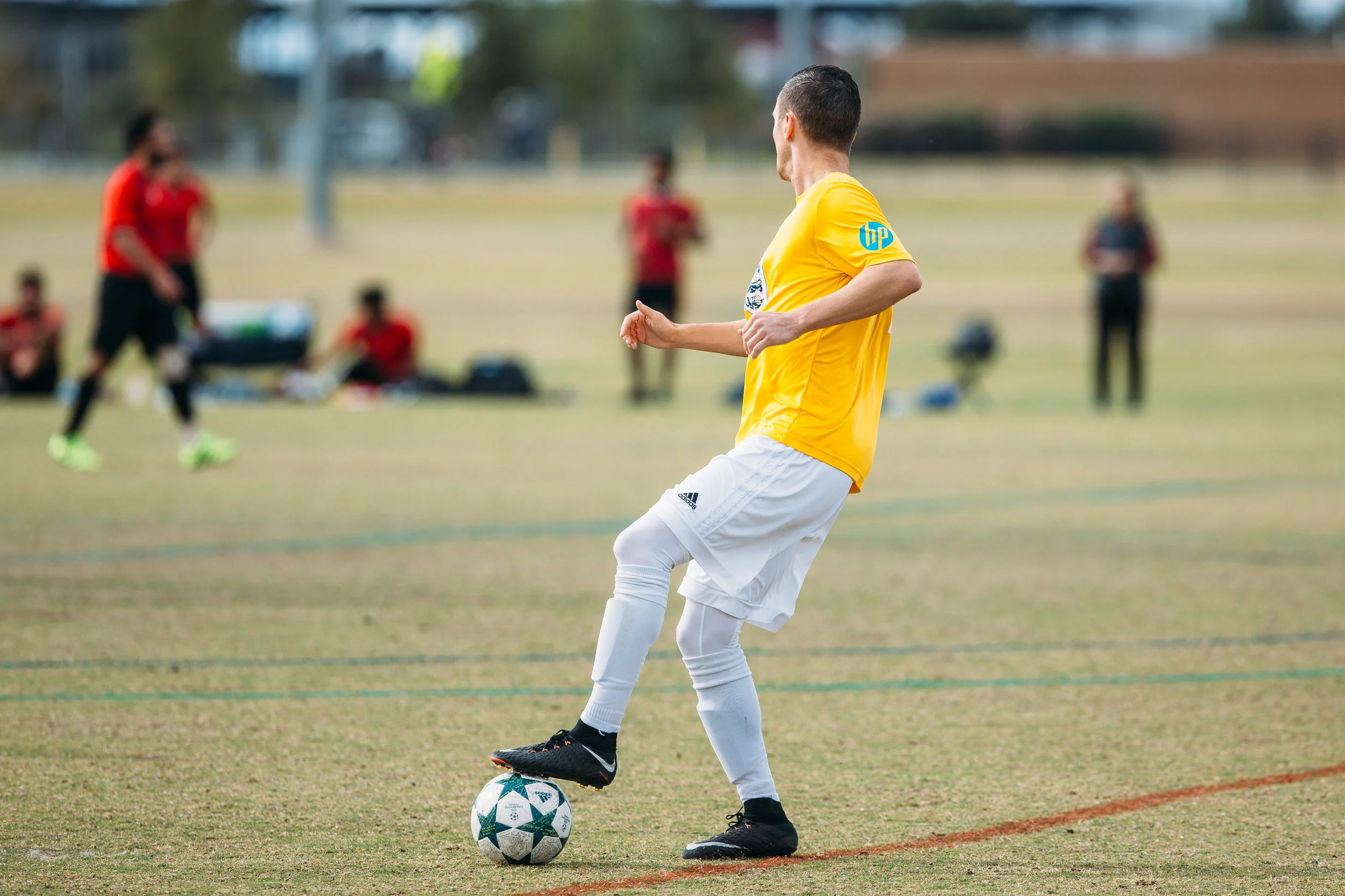 d1final-22.jpg