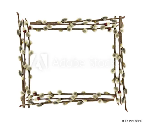 500_F_121952860_dVF2lIQW6ayynQRDAoOYXnH5Ki0lsPOM.jpg