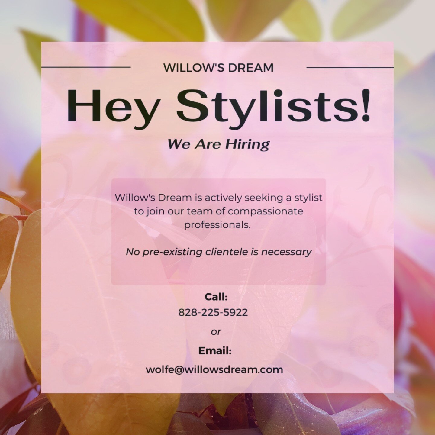 HEY STYLISTS!!! Want to join the Dream Team?! We're looking for two talented artists to come be a part of the family!💕⁠
⁠
Please message us via email or give us a call for more information.⁠
⁠
Ph: 8282255922⁠
Email: wolfe@willowsdream.com