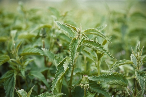 AdobeStock_113140805.jpeg