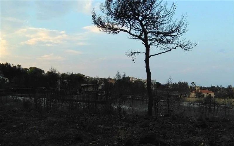 rafina-purkagia.jpg