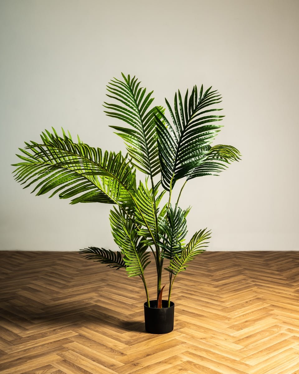 plant-foinikas-1.jpg