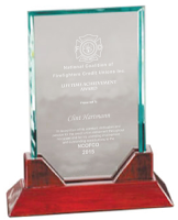 Lifetime Award.png