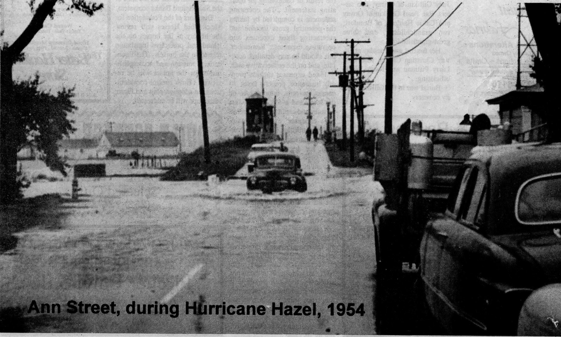 Hazel Beaufort Bridge.jpg