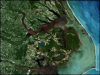  Brown sediments clogged coastal estuaries a week after the storm, as seen in this Landsat 7 image of the North Carolina coast taken September 23, 1999. Along with dirt swept away by the flood waters, the estuaries filled with human and animal waste,