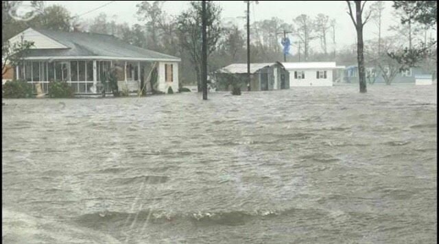 DR Cedar Island Flooding.jpg