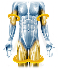vasper-compression-n1drw17rc1b4d839lfja2cdj89yz5cwv1y8ay3f1fk.png