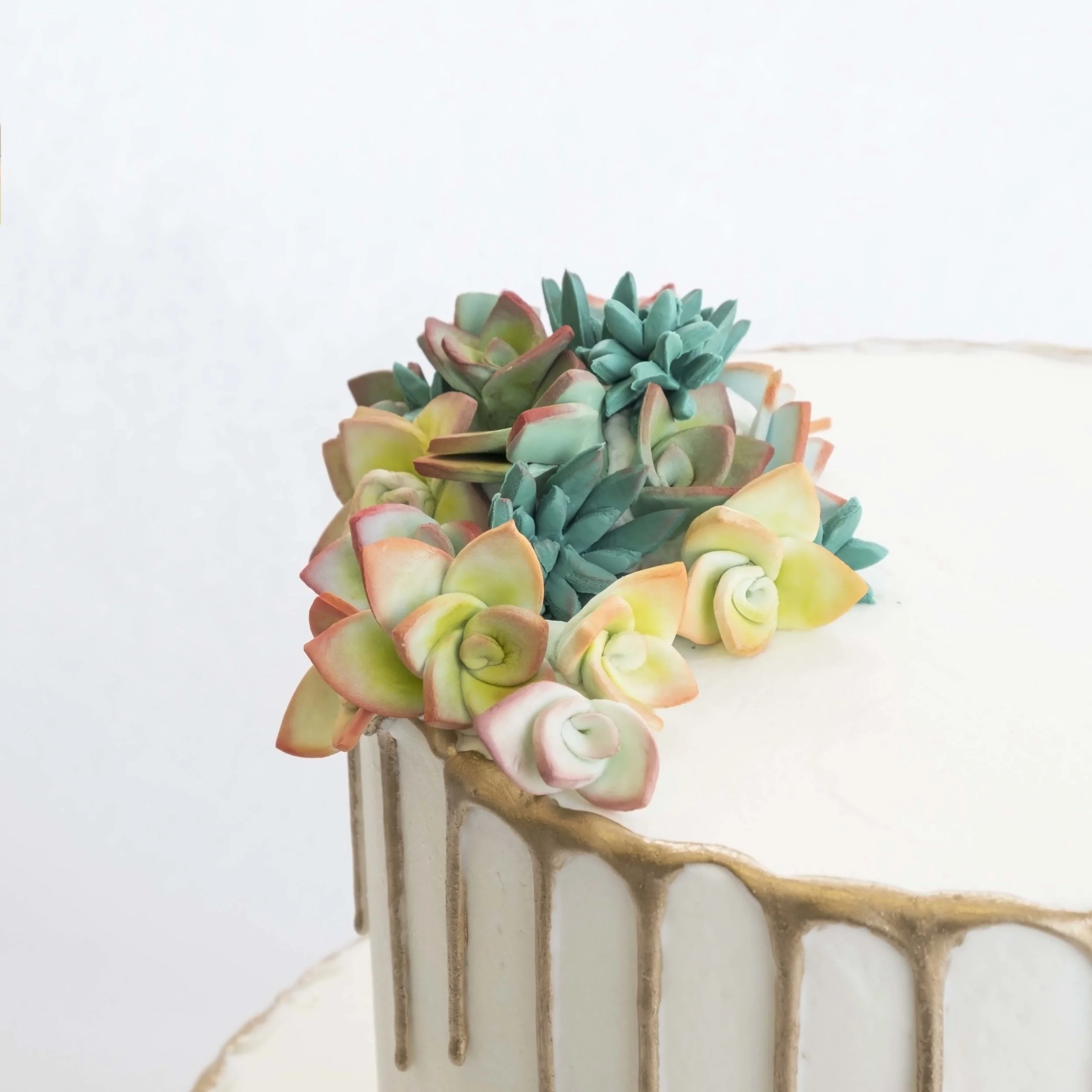 Another Succulent Wedding Cake 2.jpg