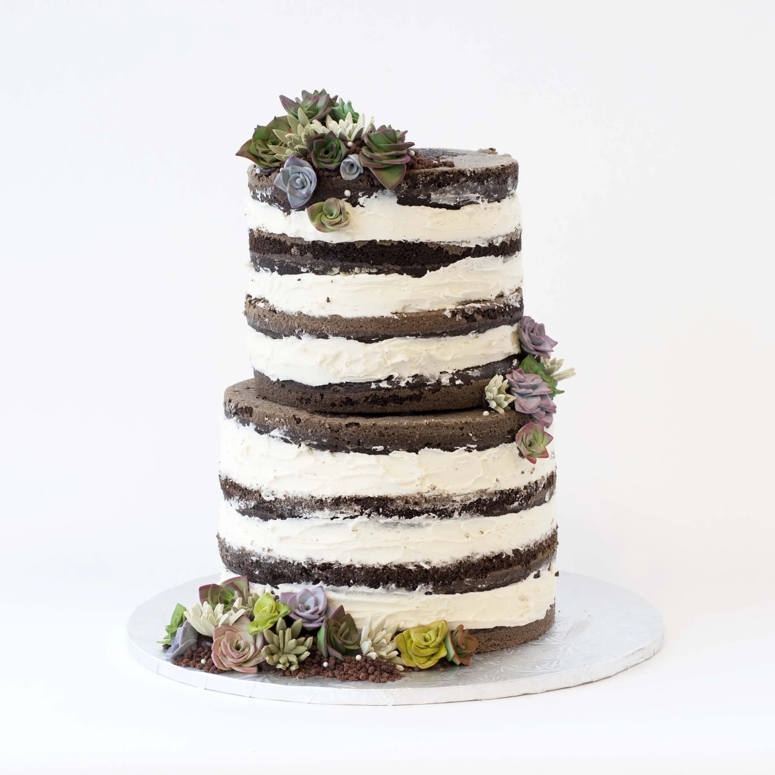 Naked Succulent Cake.jpg