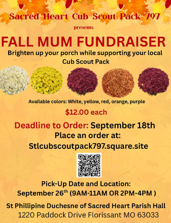 fall mum fundraiser.png