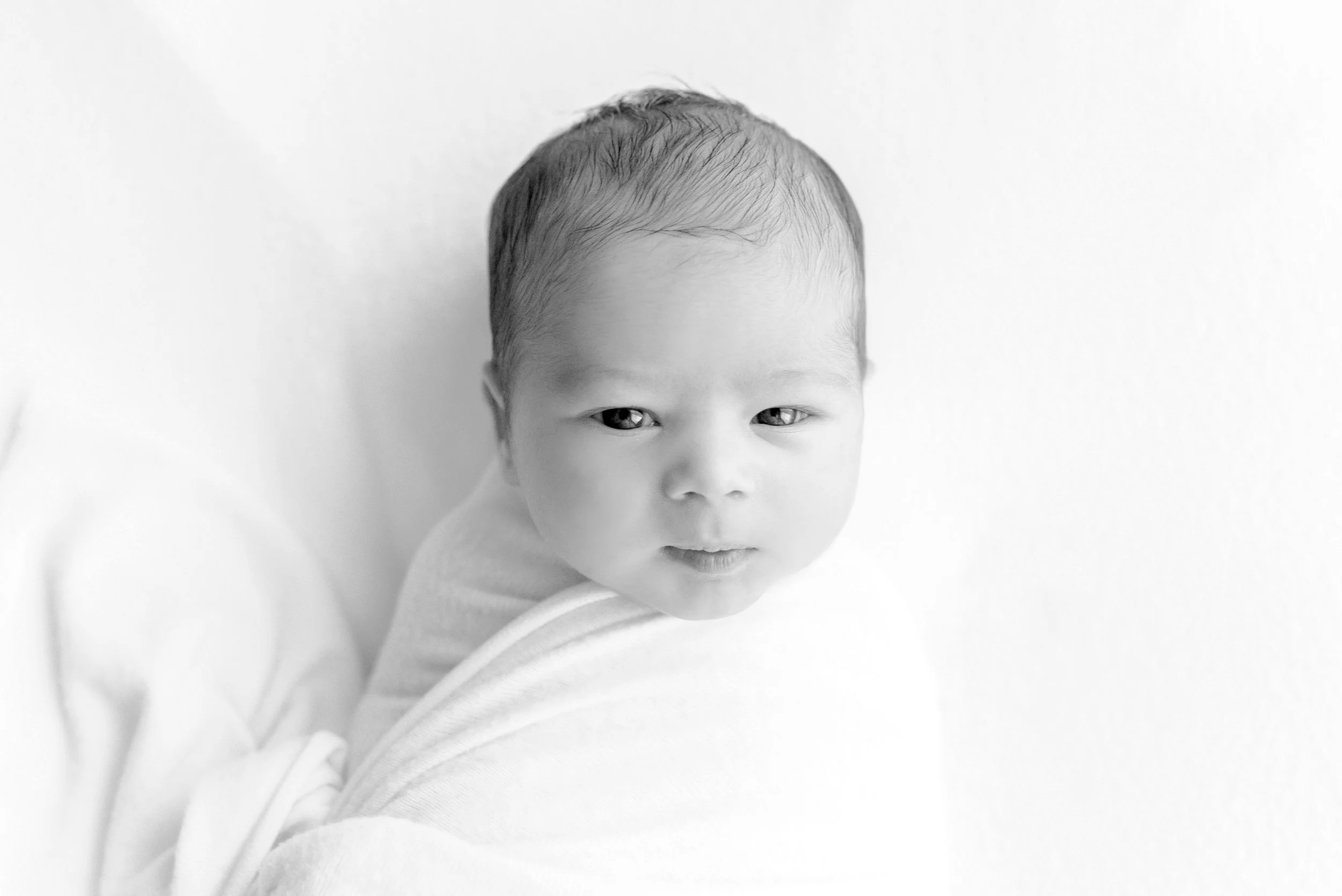 Knox Newborn Session with Becky Kelley Photography