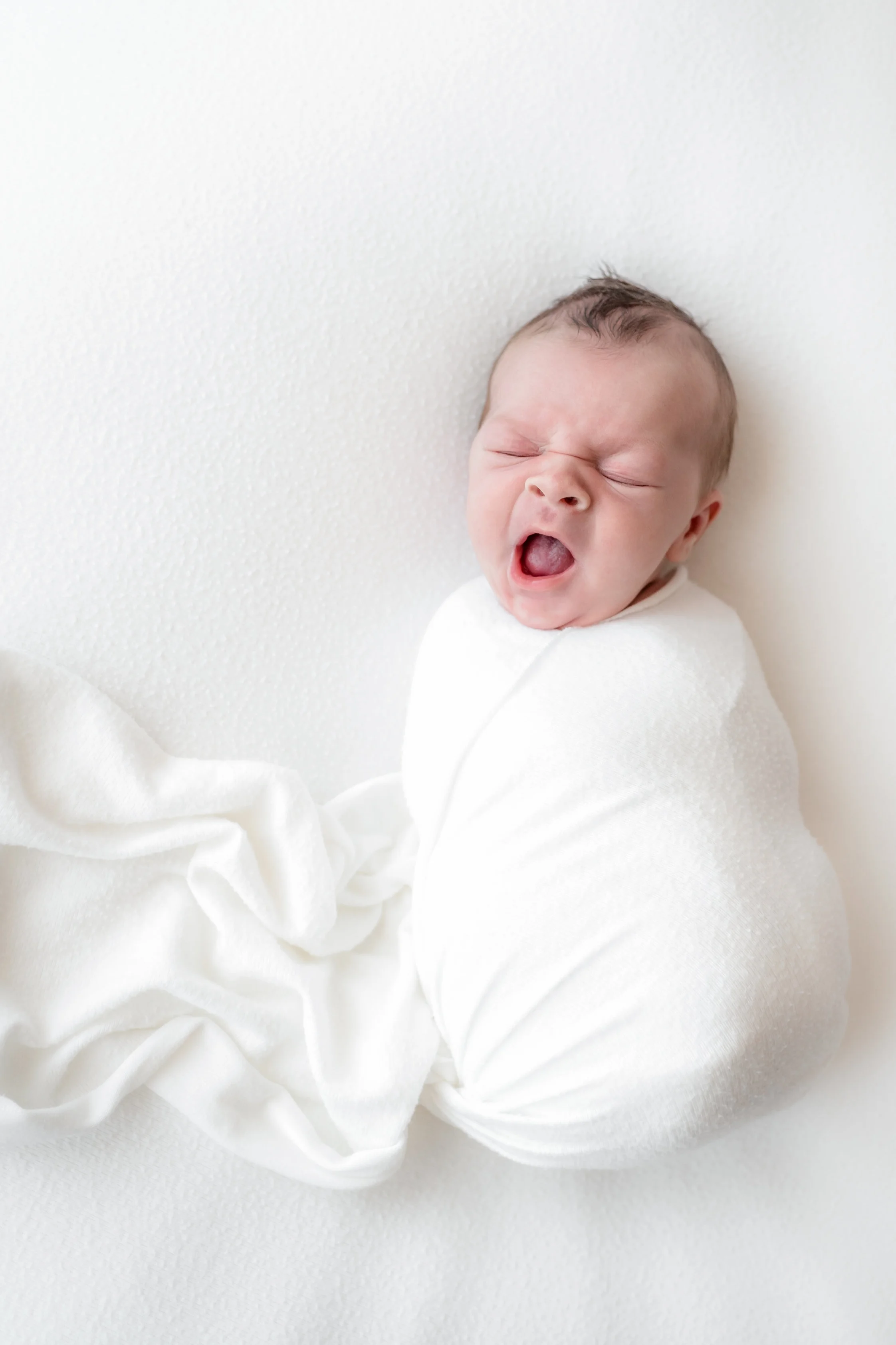 Nolan's Newborn Session