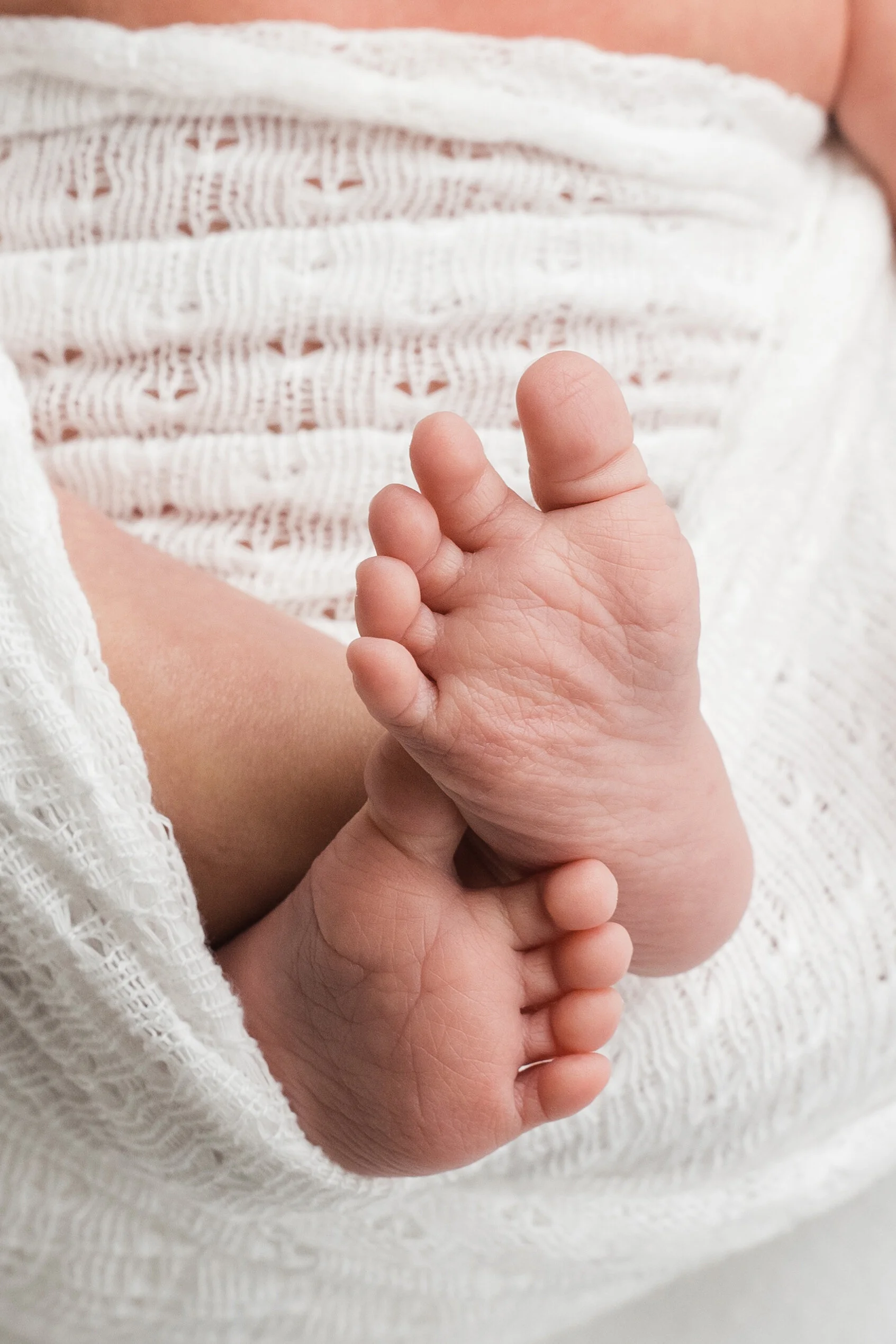 Juliana's Newborn Sneak Peeks