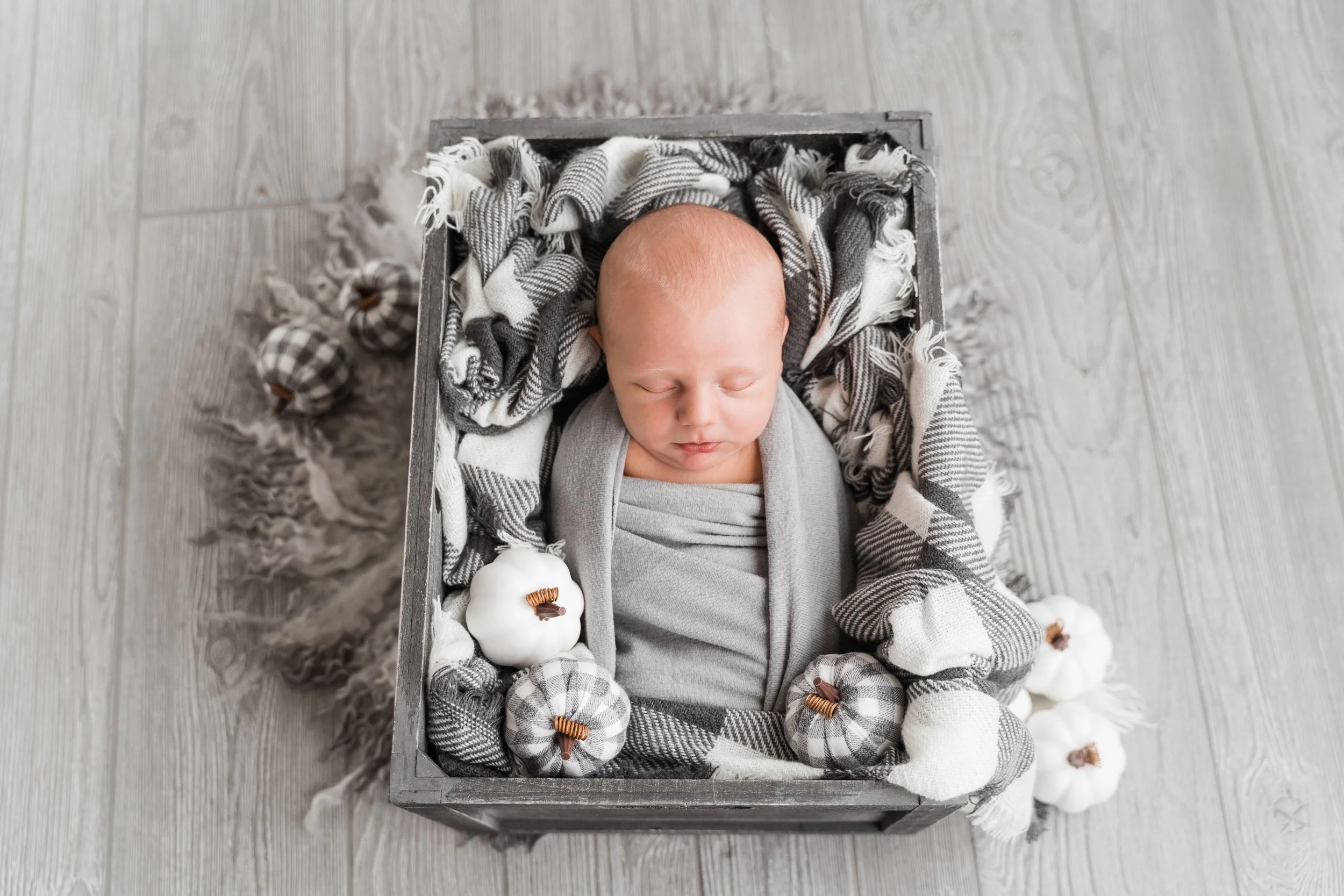 Calvin's Newborn Sneak Peeks