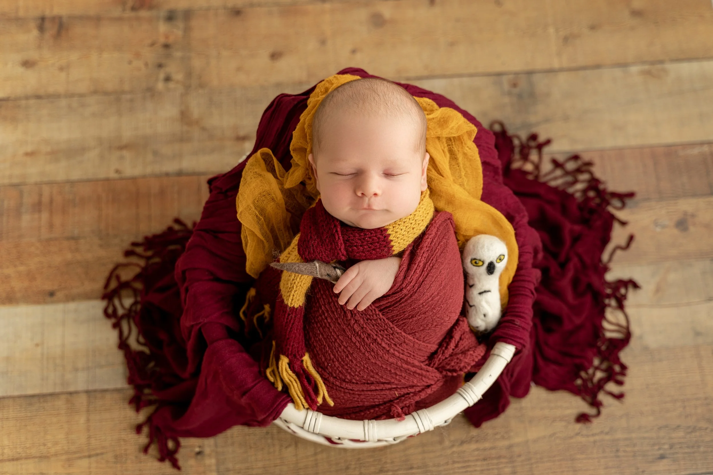 Tydus Newborn Family Session