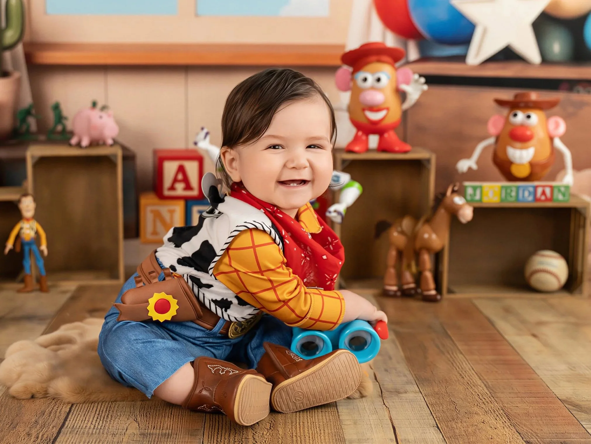 Jordan’s Toy Story 6-Month Milestone Sitter Session