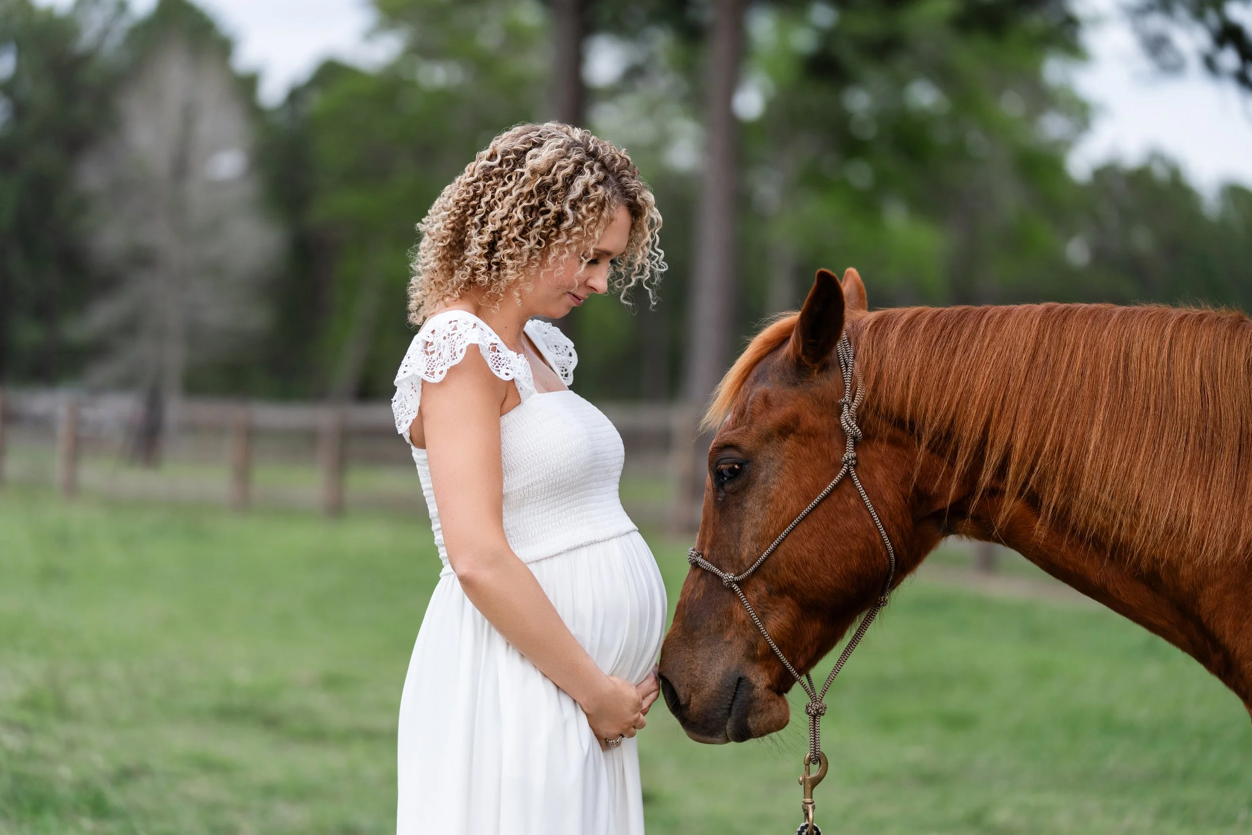 Chelsea Maternity with Mitch and Doc March 2026-7-for web.jpg