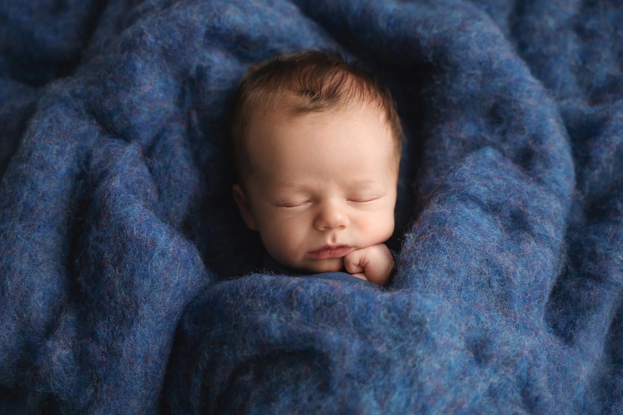 Hudson NB 16 days old August 2022-16.jpg