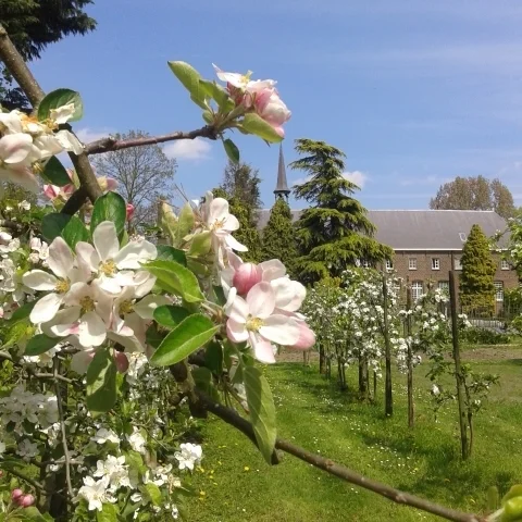 20150502_140247.jpg