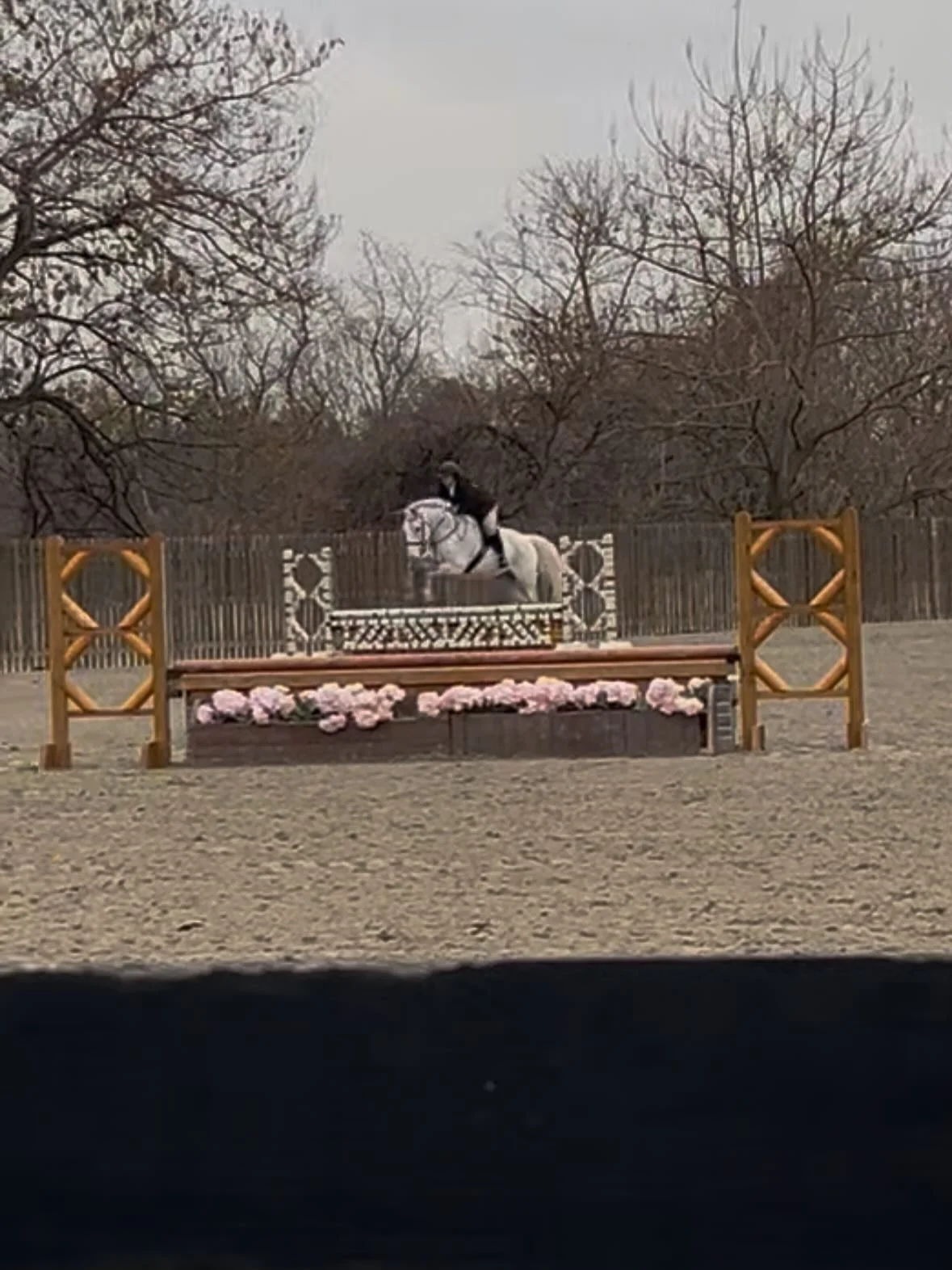 I once read that one of the most special parts of having a true 🦄 is when you get to share them. And I&rsquo;m so grateful to @claire.a.taylor for giving me the chance to share hers! The amazing Pluto LWF has taught me so much in a short time, and I