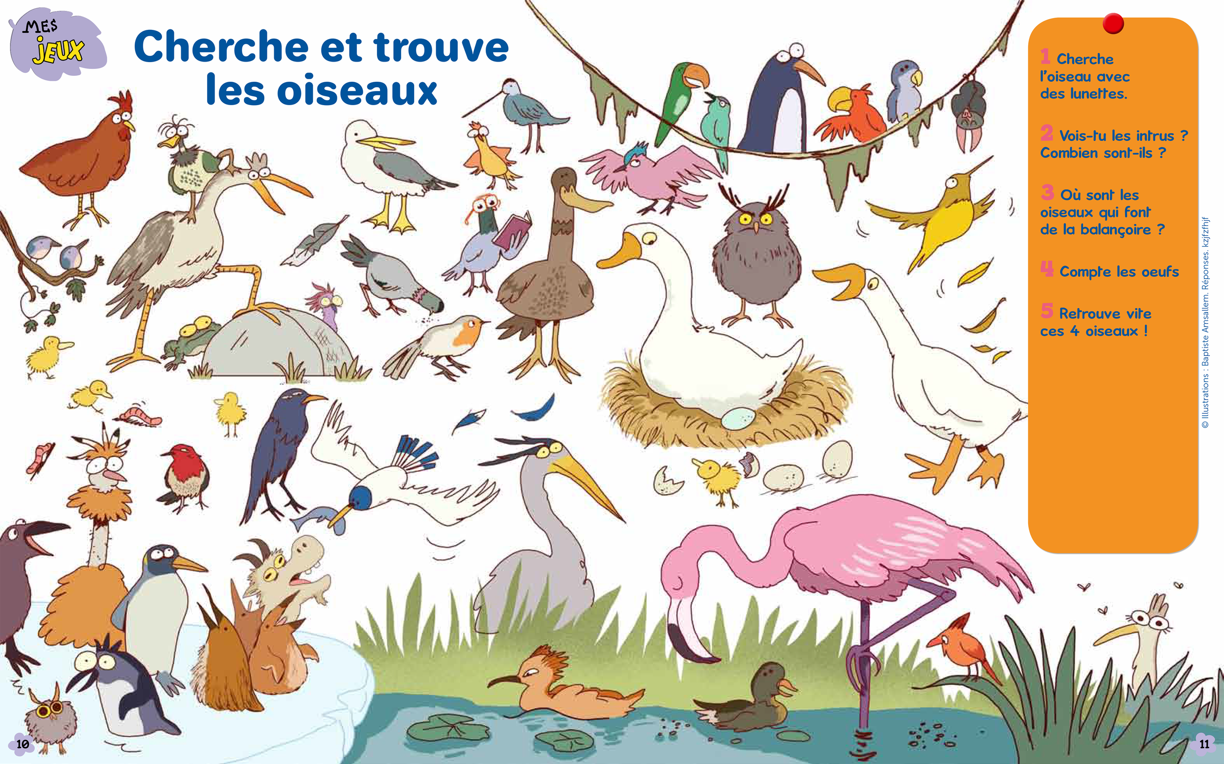JEUX OISEAUX.PNG