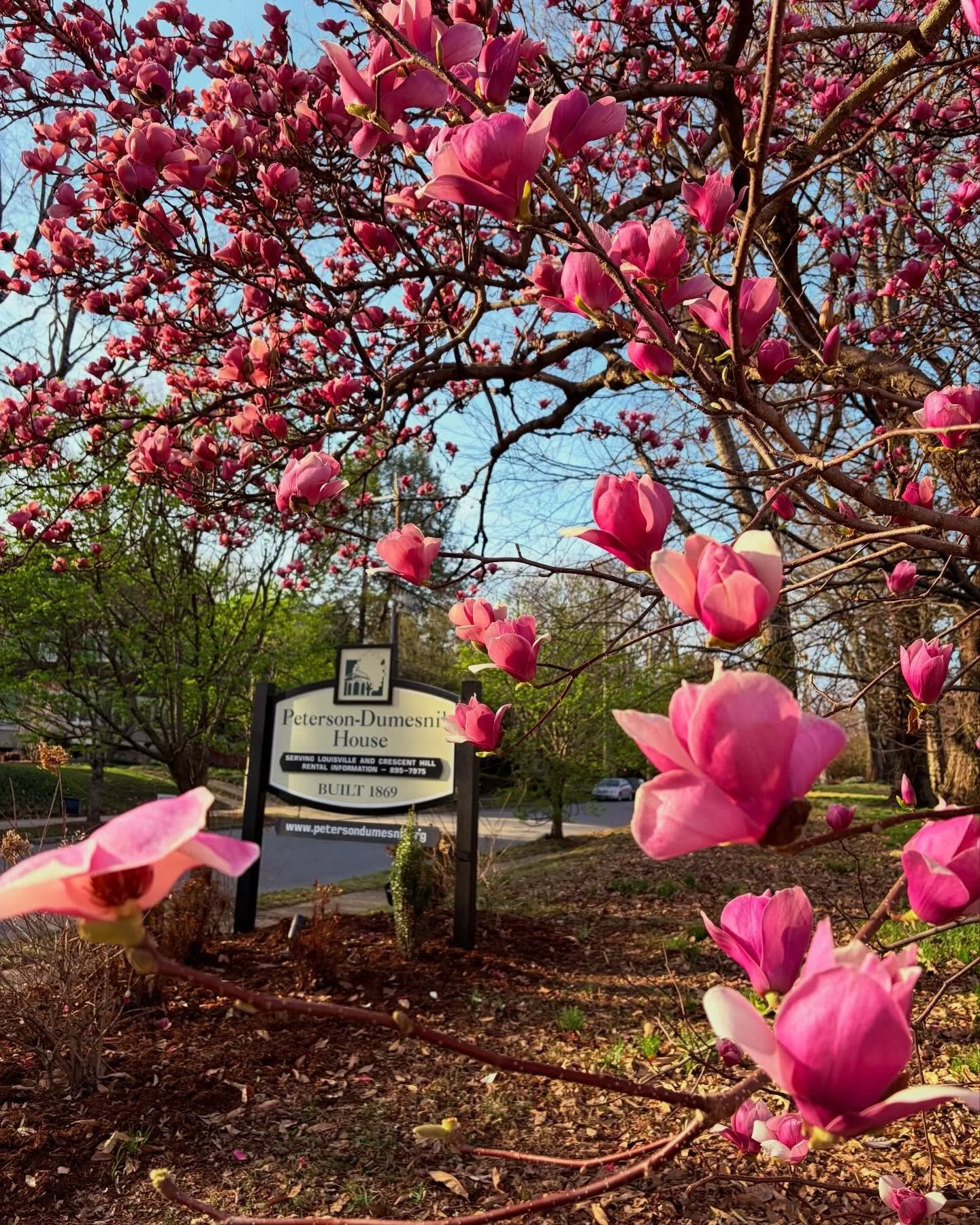 Spring does exist! 🌸 

Imagine your spring event surrounded by these beautiful blossoms in Crescent Hill 💕 

#crescenthilleventvenue #louisvillekentuckyweddingvenue #historichome #nowbooking2026 #nowbooking2027

Louisville event venue | Kentucky ev