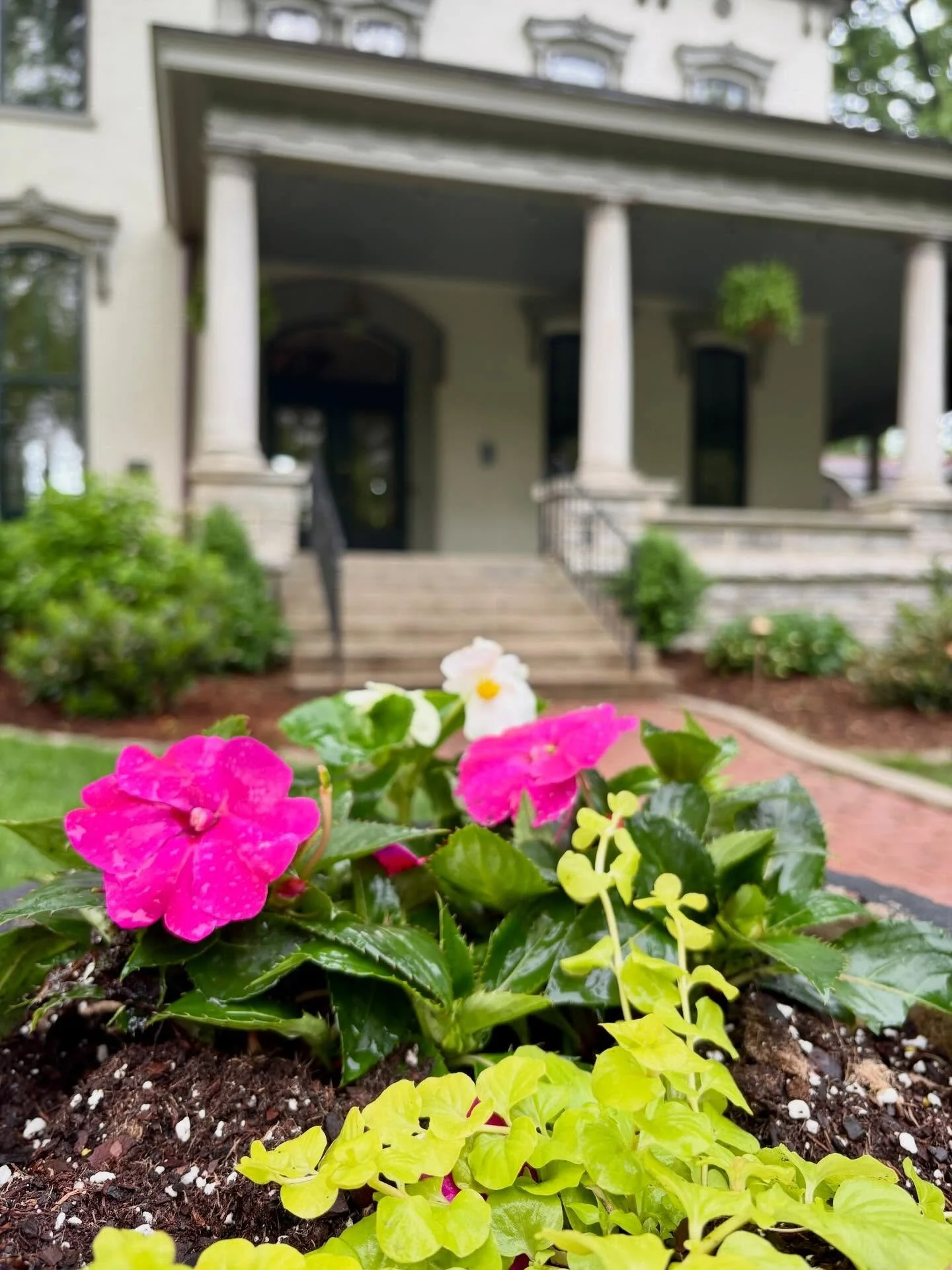 &ldquo;The earth laughs in flowers.&rdquo; &mdash; Ralph Waldo Emerson

#springtime #kentucky #louisvilleky #crescenthill #historichome