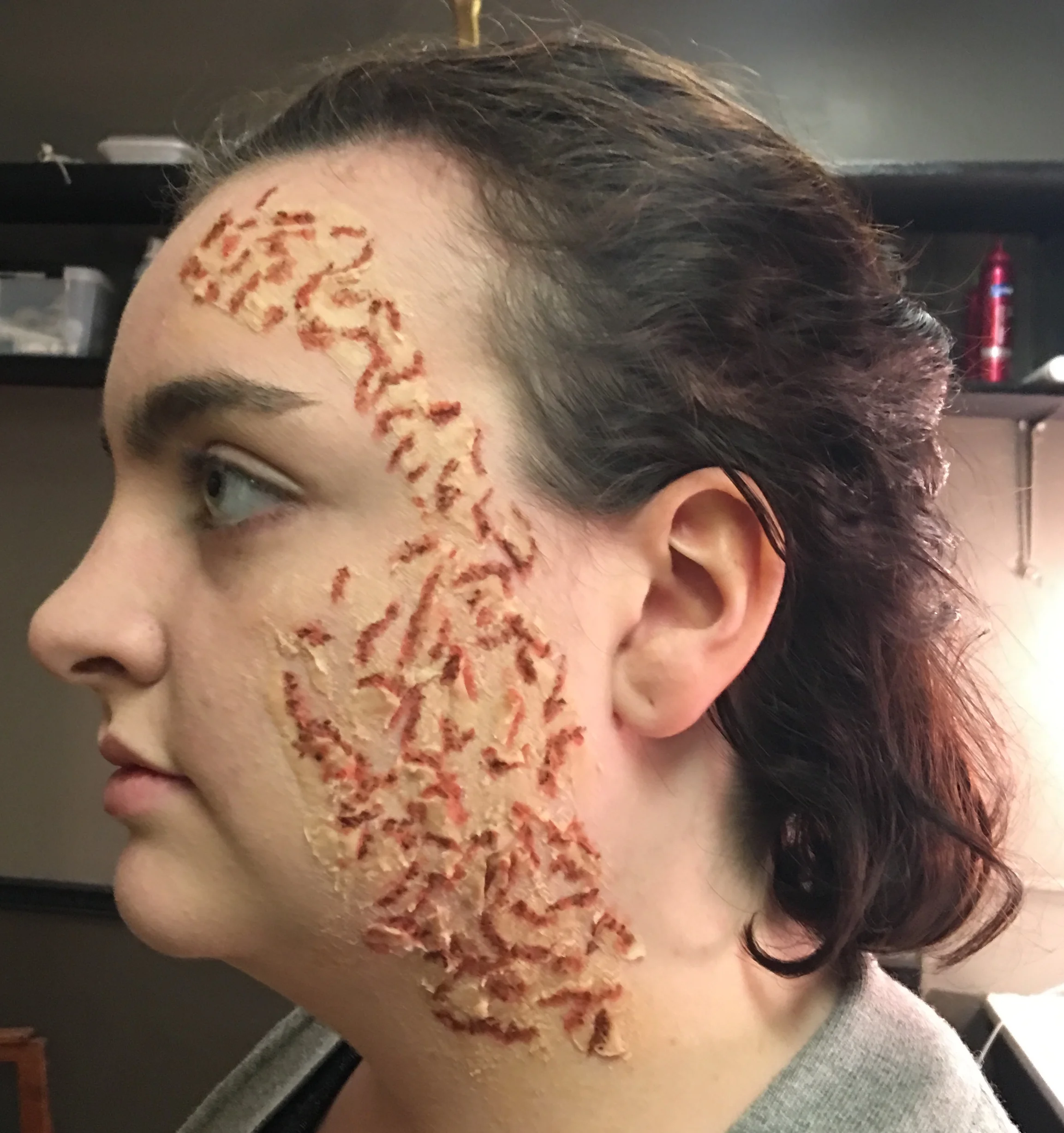  Time Stands Still, Sarah Goodman Shrapnel Damage Design/Application 