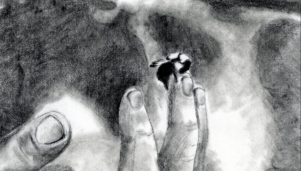 Medium: Charcoal