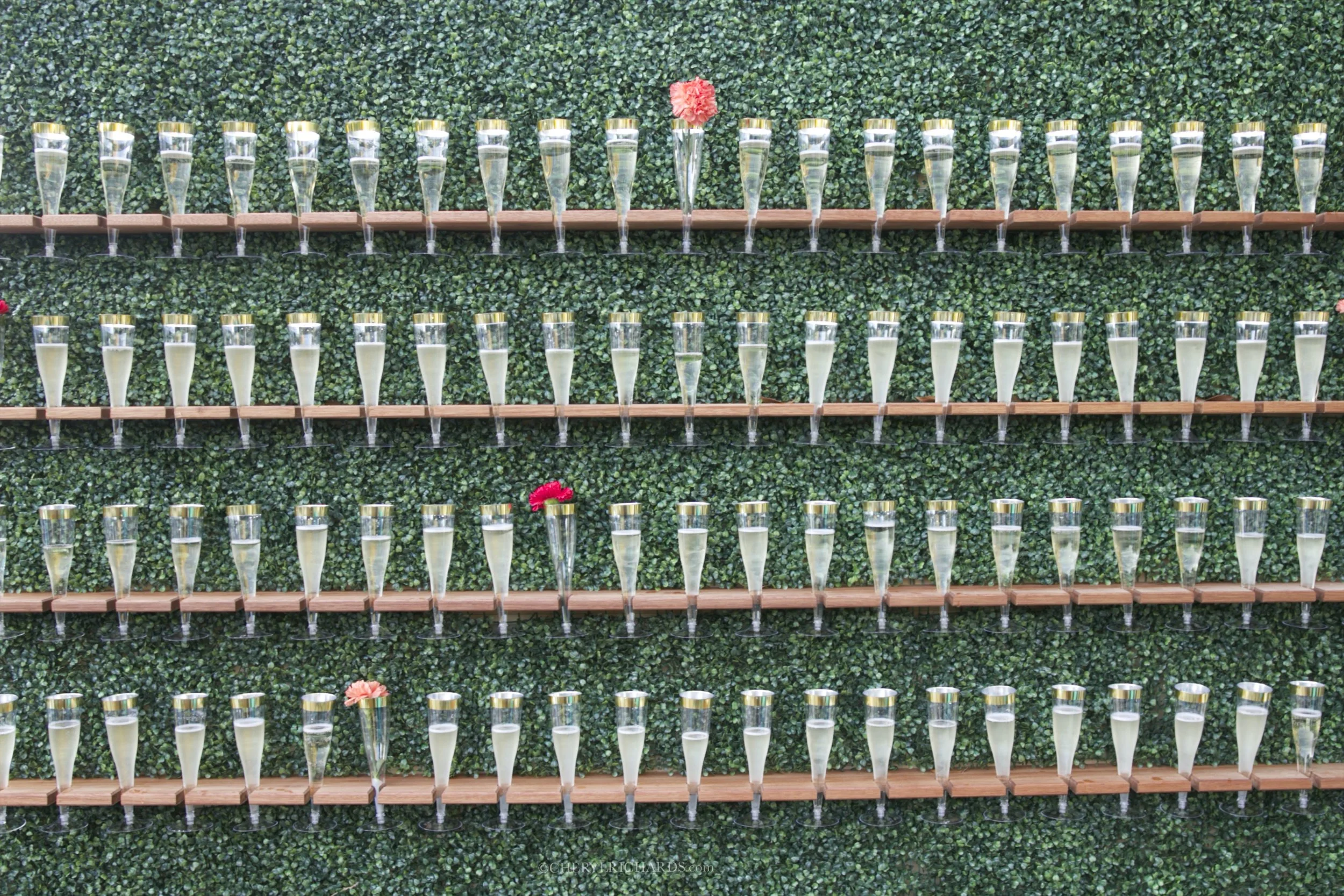 Mark &amp; Alecia - Private Home Wedding