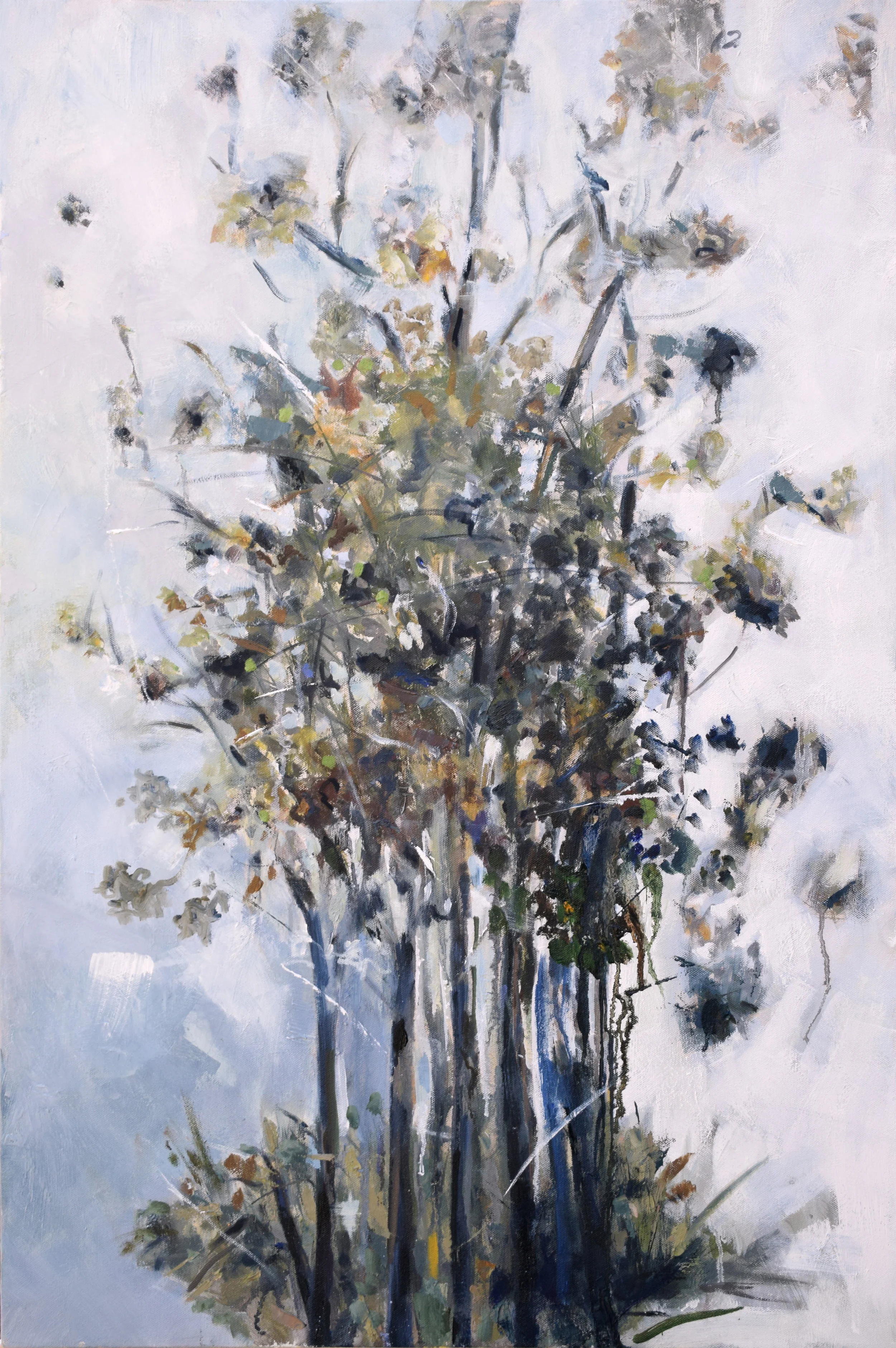 25 1/2" x 38" - "Georgetown"