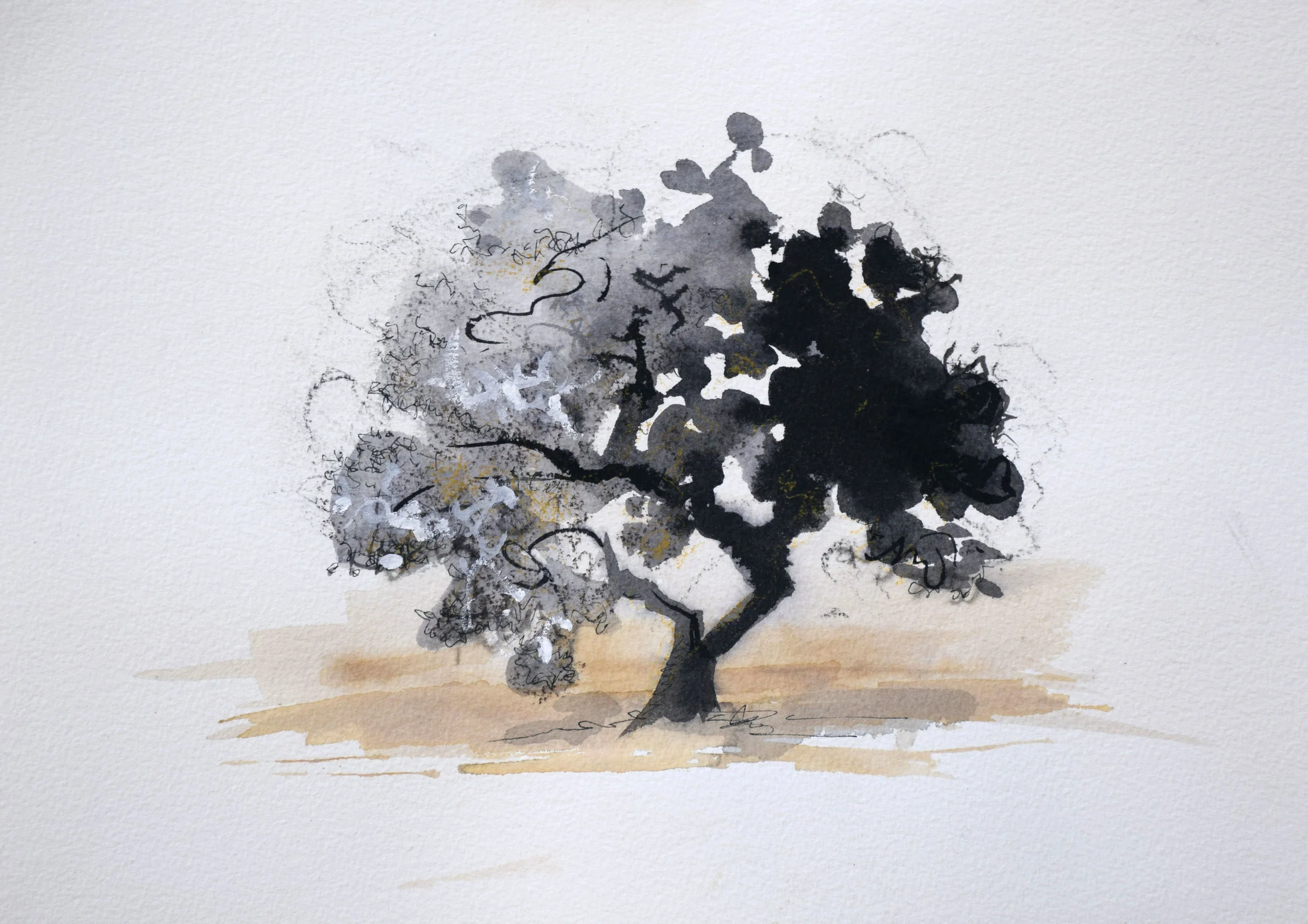 15" X 13 1/2" - Ink - Stellenbosch, South Africa
