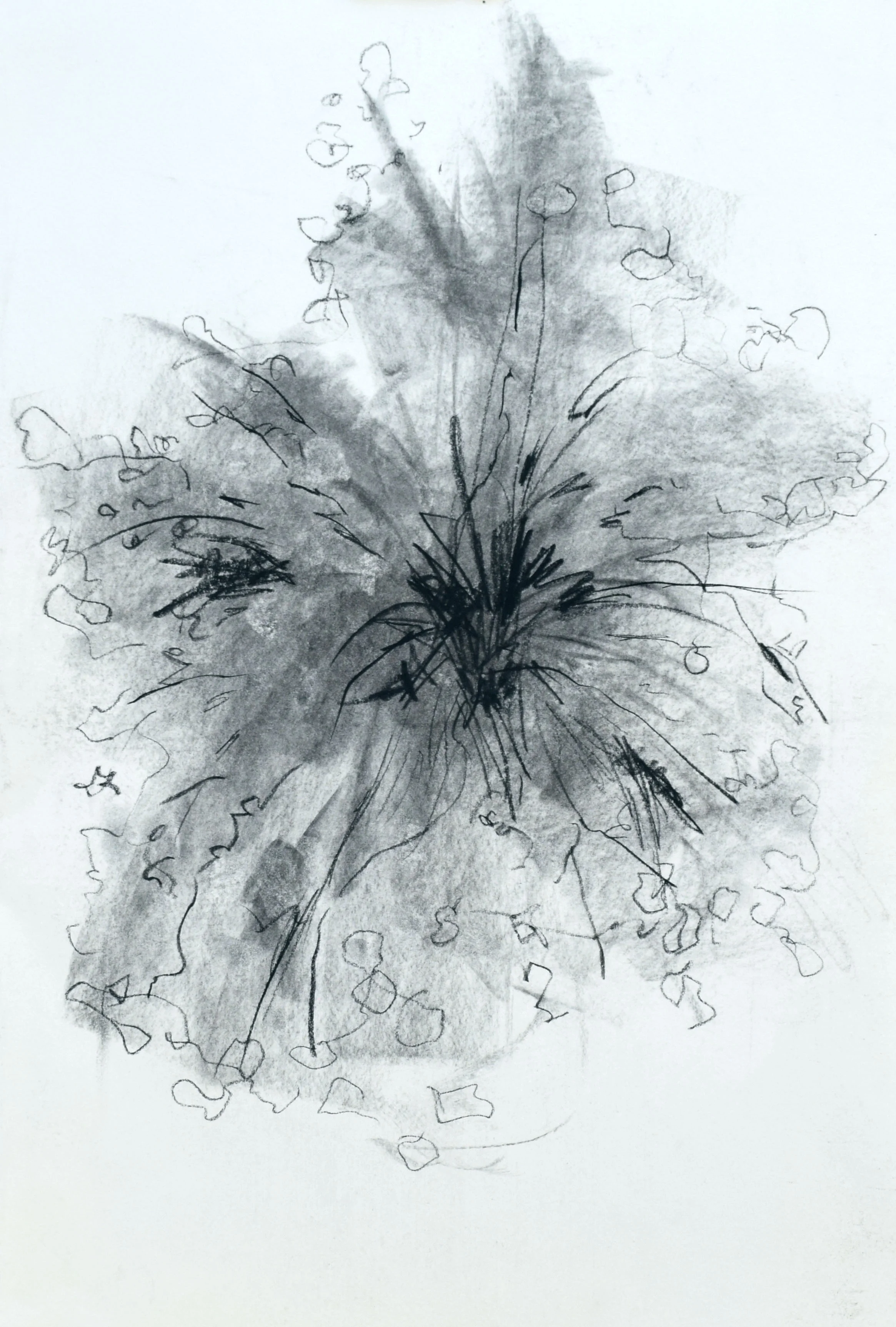 14 1/2" X 20" - Charcoal - Blooming II