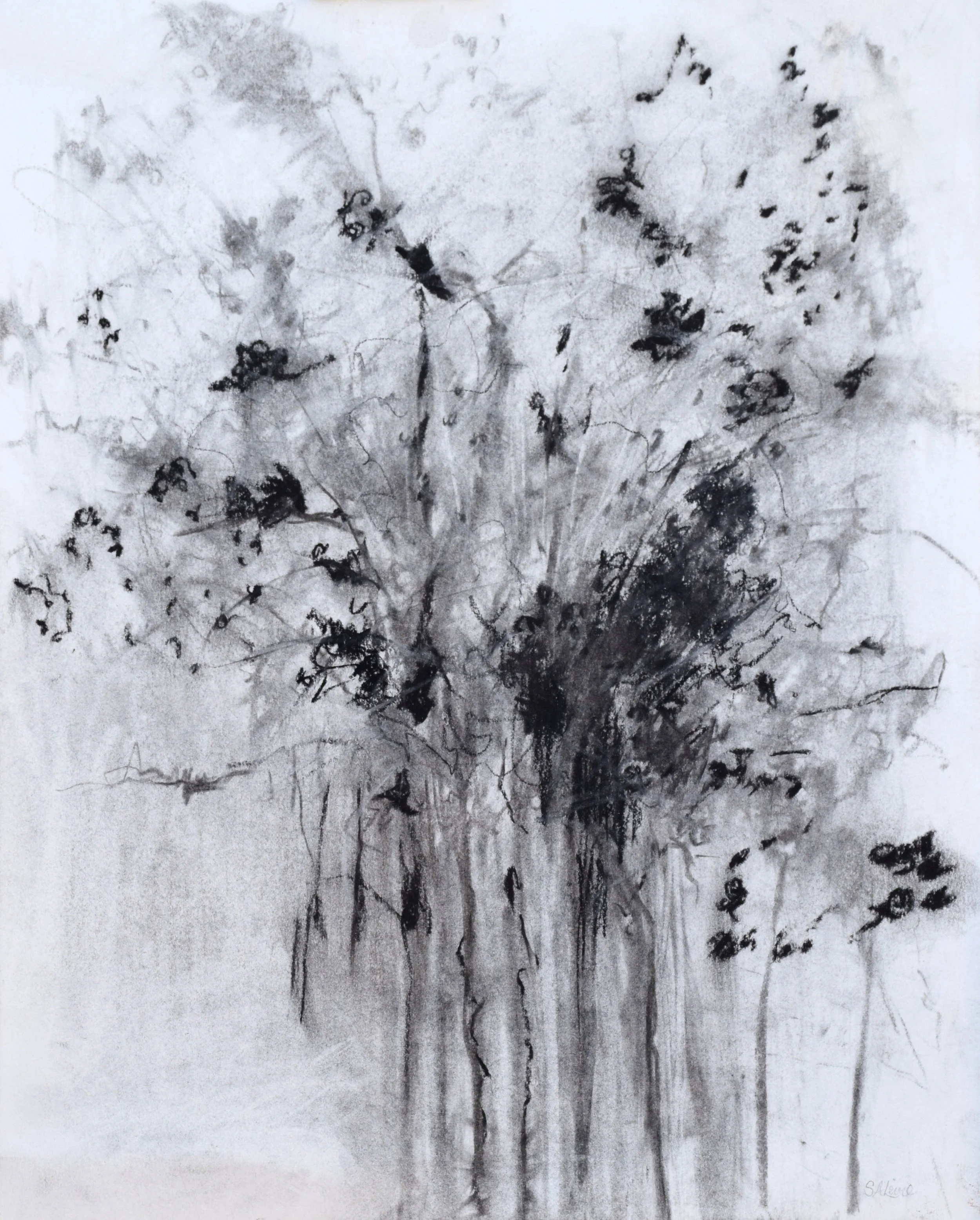 16 1/2" X 19 1/2" - Charcoal - Flowering Tree
