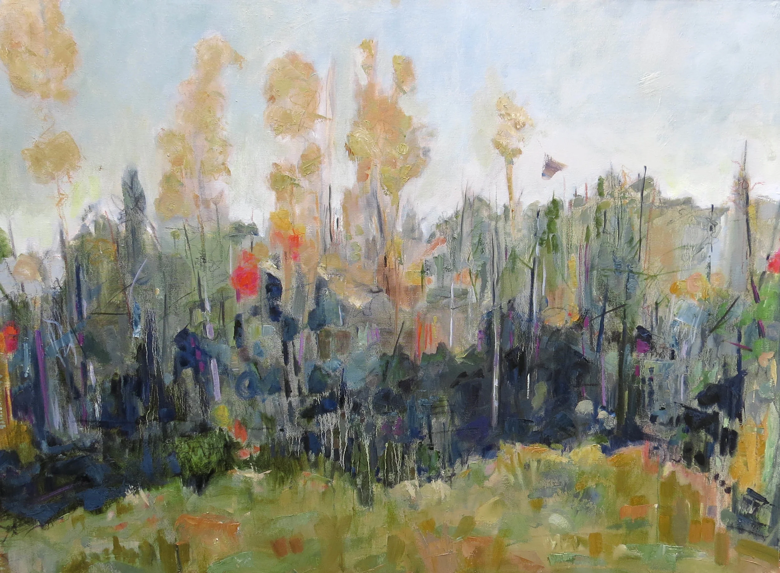48" X 36" - California