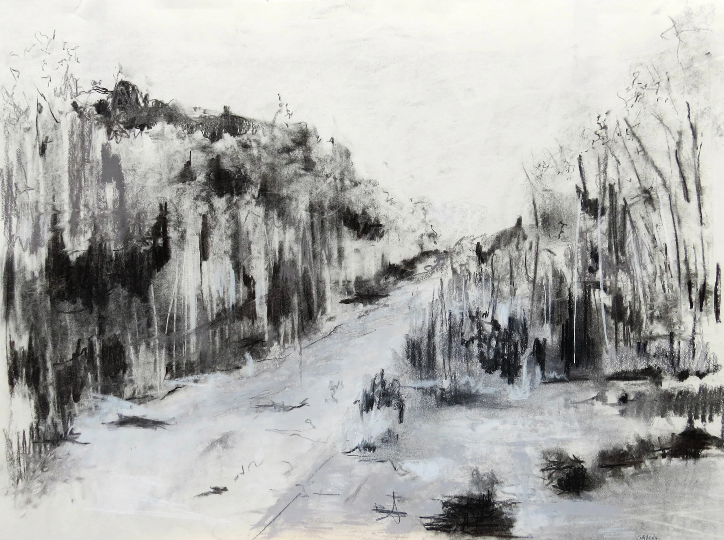 36" X 24" - Charcoal - Loire Valley lane