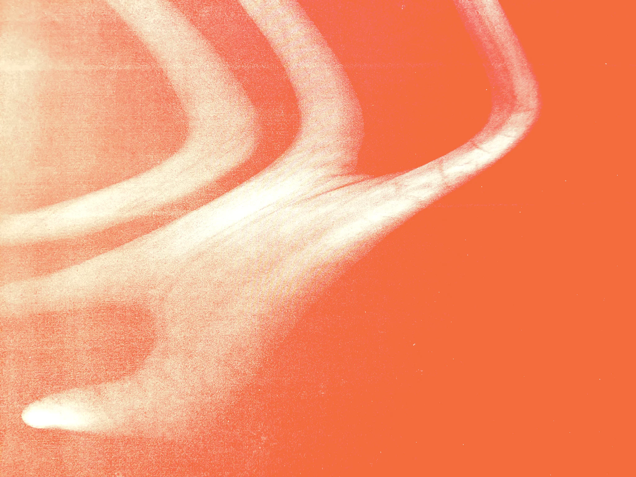 scan55.jpg