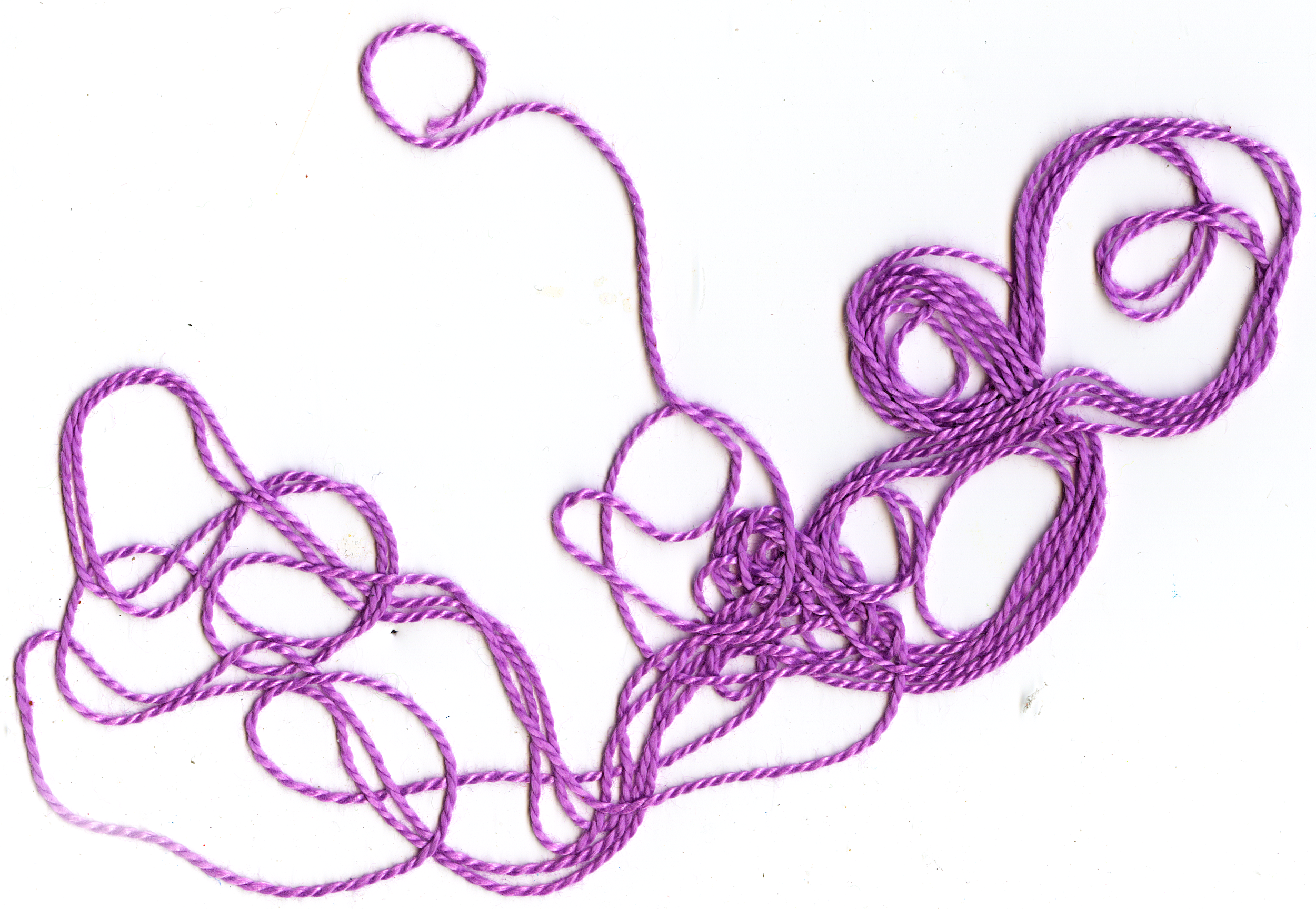 Scan 12.png