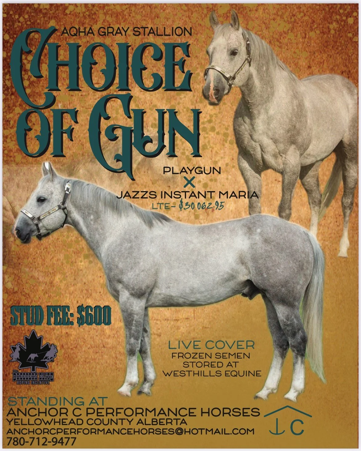 Stallion Services/Catalogue — Westhills Equine Veterinary Services